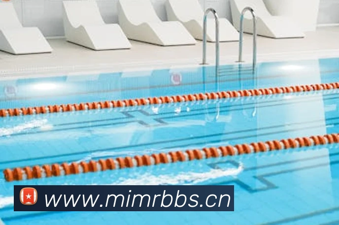 乐竞官网首页登录入口平台生态图